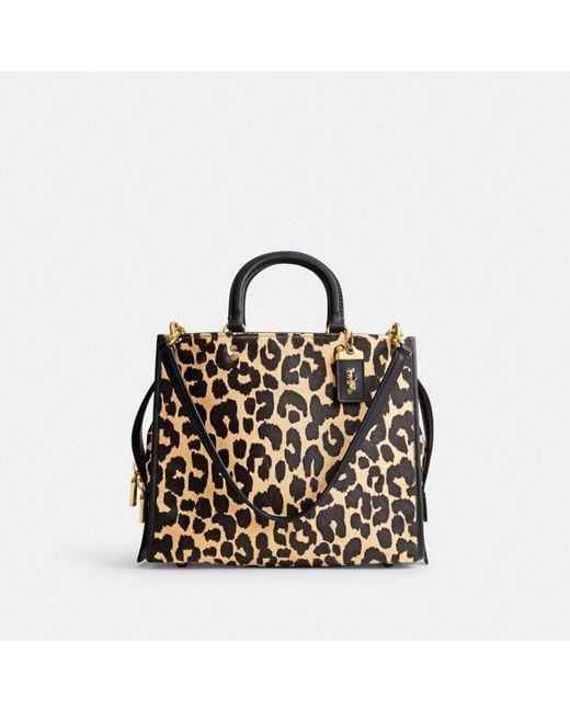 COACH Black Rogue In Haircalf With Leopard Print
