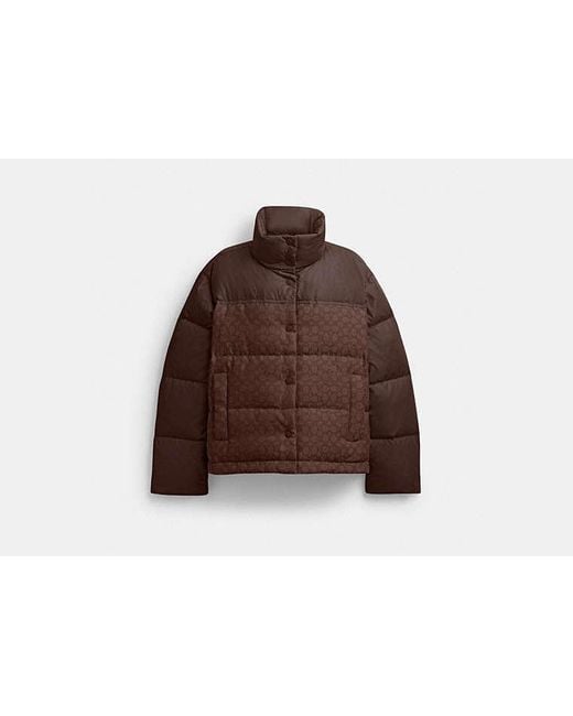 COACH Brown Signature Down Jacket