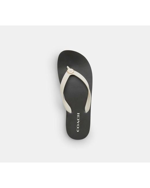 COACH Black Zayn Flip Flop