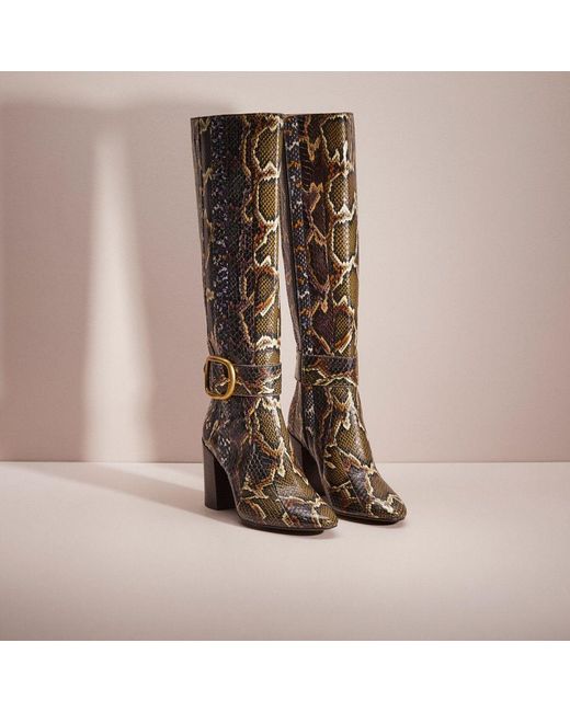 COACH Brown Restored Evelyn Boot In Snakeskin
