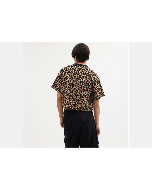 T-shirt court à motif léopard Cursive signature COACH en coloris Multicolor