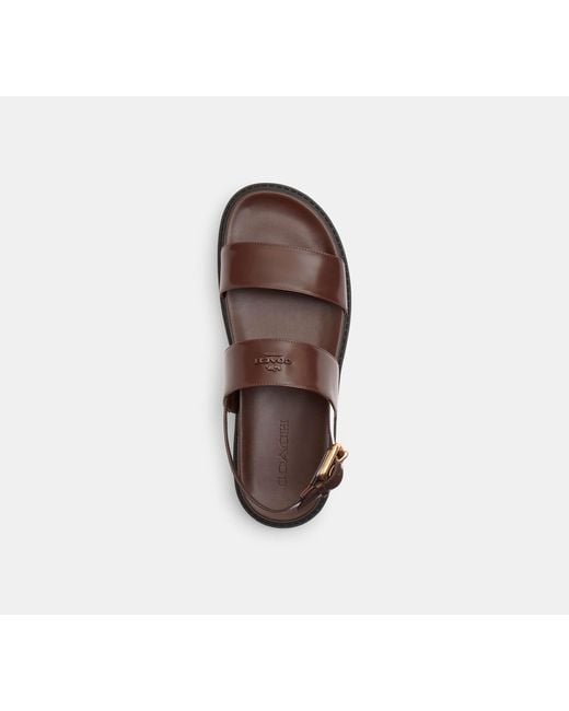 COACH Black Two Band Sandal