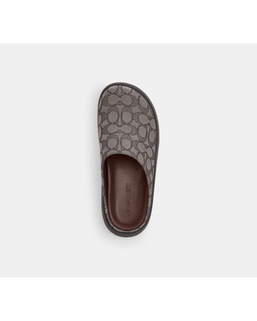 Mule Link di COACH in Black