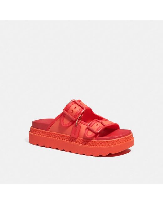 COACH Rubber Lucy Sandal in Red Orange (Red) | Lyst
