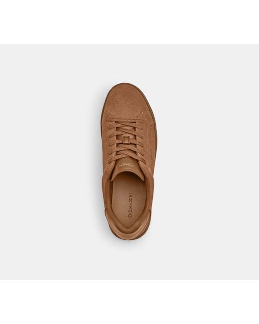 COACH Brown High Line Sneaker