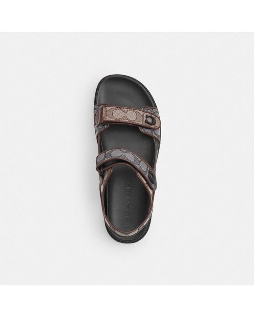 COACH Platform Sandal In Signature Jacquard in Black for Men