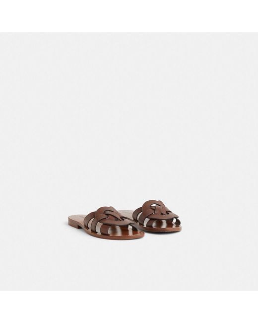 COACH Brown Restored Issa Sandal