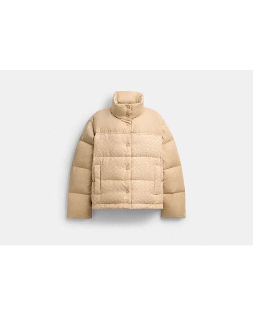 COACH Black Signature Down Jacket