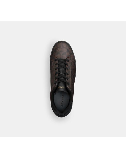 COACH Black High Line Sneaker In Signature Canvas for men