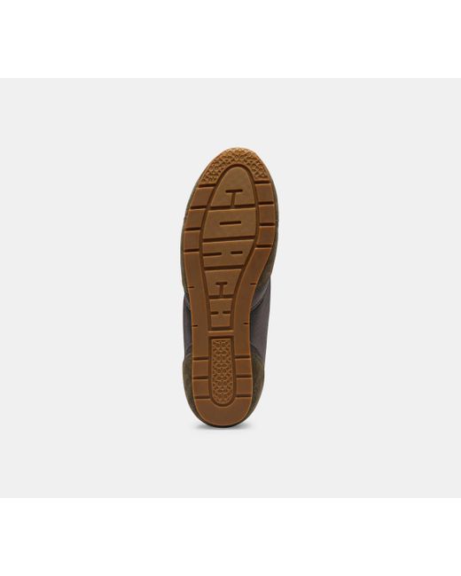 COACH Black Flat Sneaker