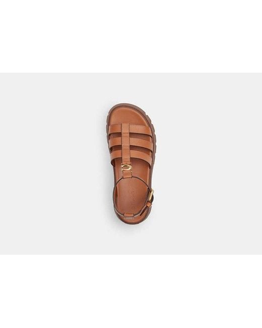 COACH Black Sculpted C Platform Fisherman Sandal
