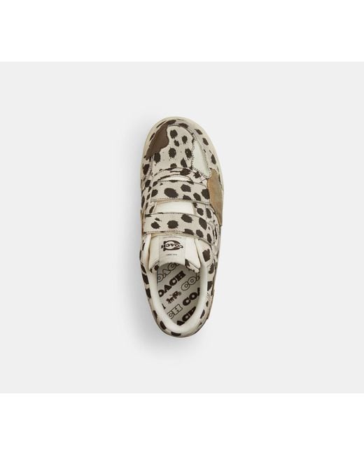 COACH Black Double Strap Soho Sneaker With Clouds
