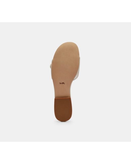 COACH Black Margot Flat Sandal