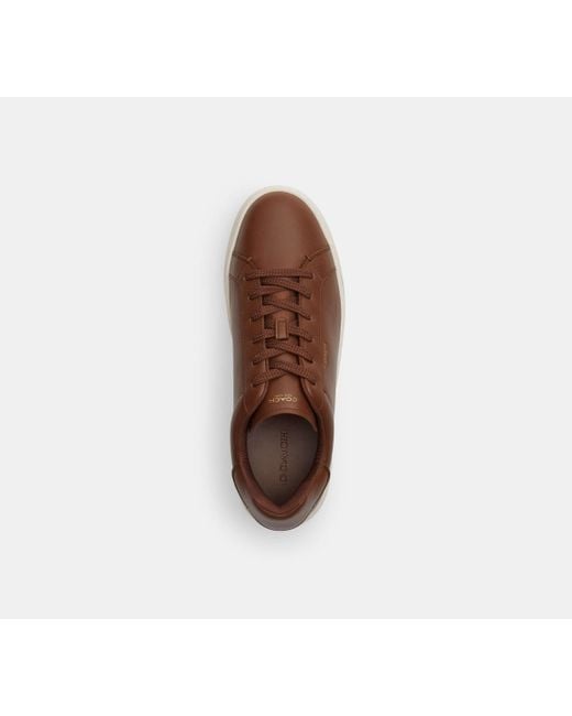 Zapatilla deportiva High Line COACH de hombre de color Brown