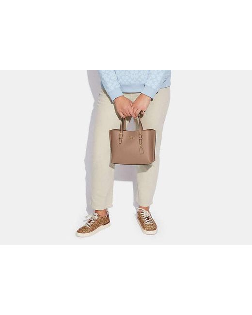 COACH Brown Mollie Tote Bag 25
