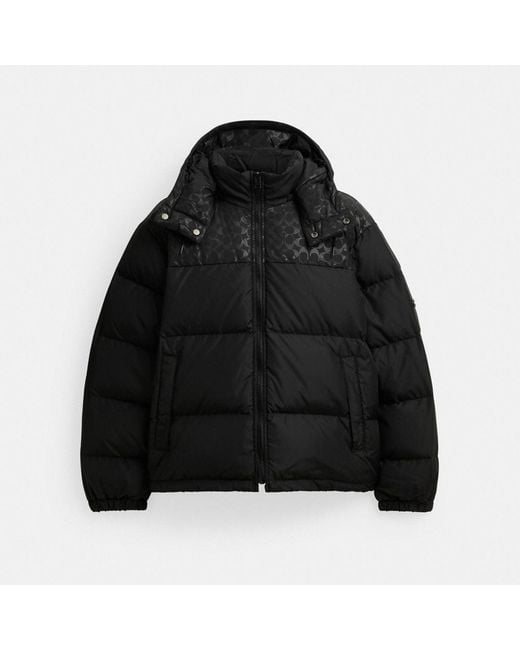 COACH Black Down Puffer Jacket In Recycled Polyester for men