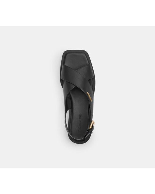 Sandalia cruzada con cierre COACH de color Black