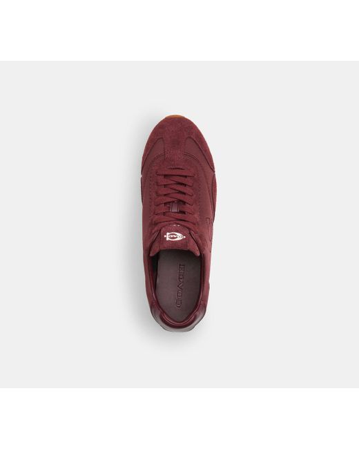 COACH Red Flache Sneaker