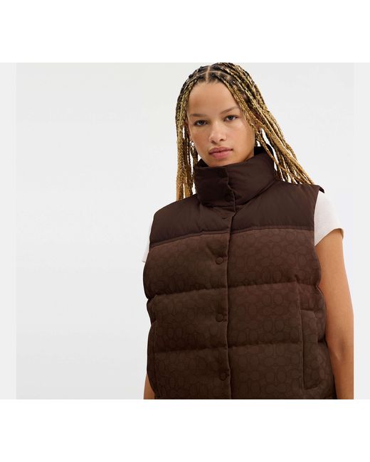COACH Brown Signature Down Vest