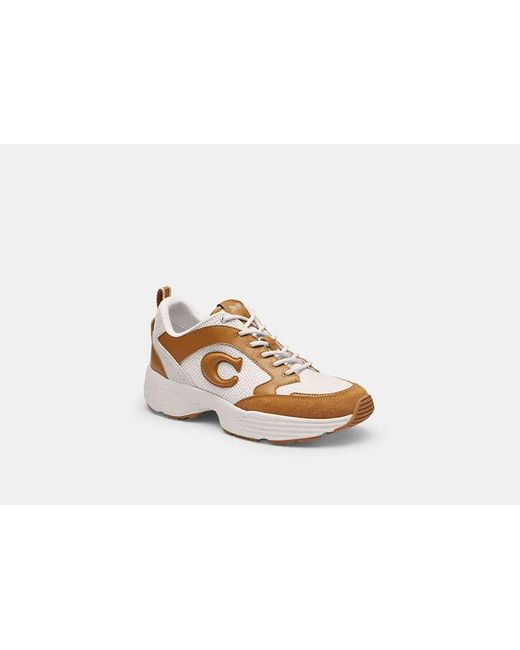 COACH Multicolor Strider Sneaker
