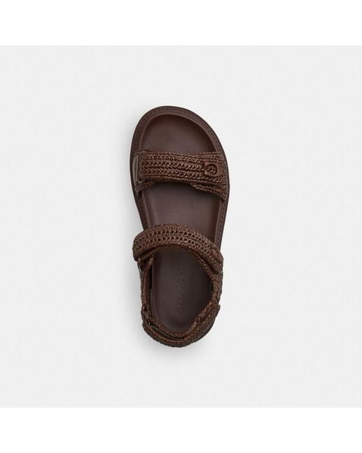 COACH Brown Brynn Raffia Sandal
