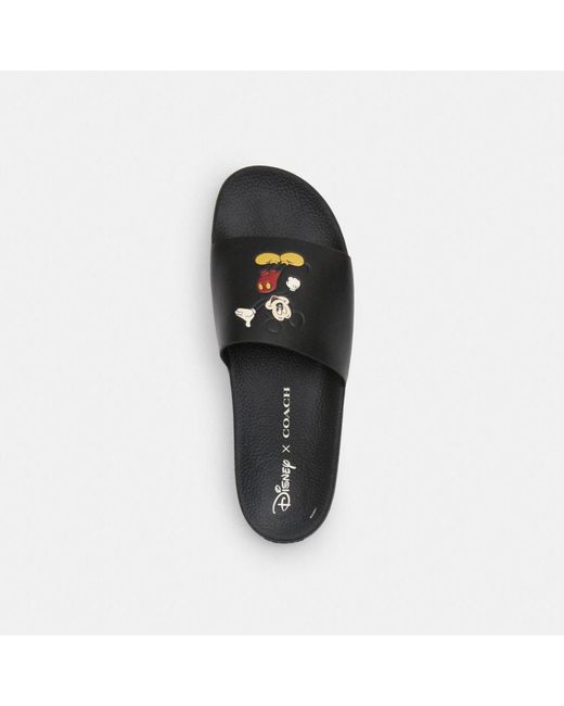 COACH Black Disney X Slide With Mickey Mouse for men
