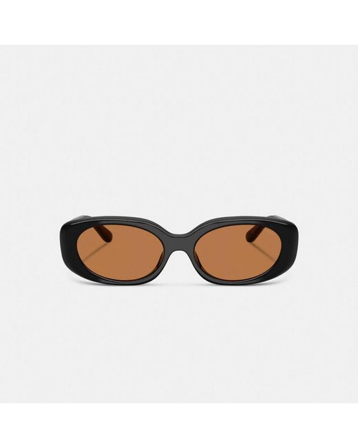 COACH Multicolor Quilted Oval Rectangle Sunglasses
