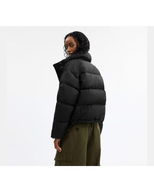 COACH Black Short Puffer Jacket