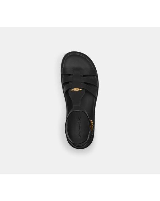 COACH Black Franny Sandal
