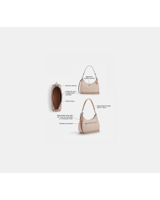 COACH Black Teri Hobo Bag
