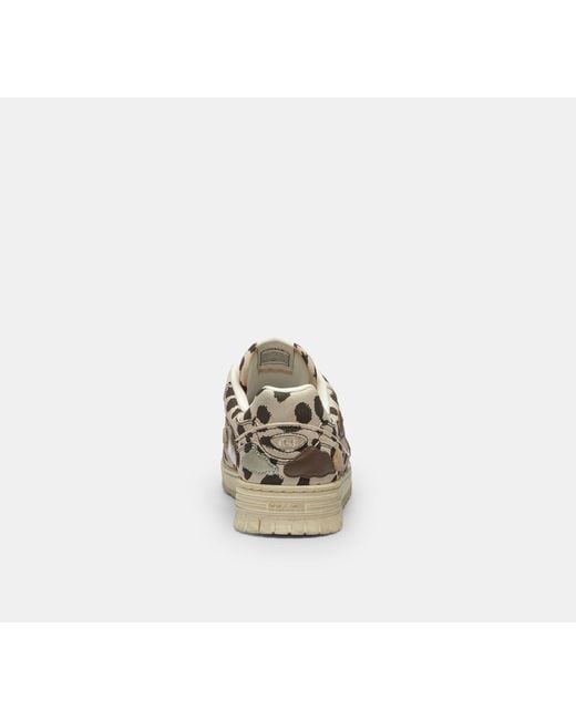 COACH Black Double Strap Soho Sneaker With Clouds