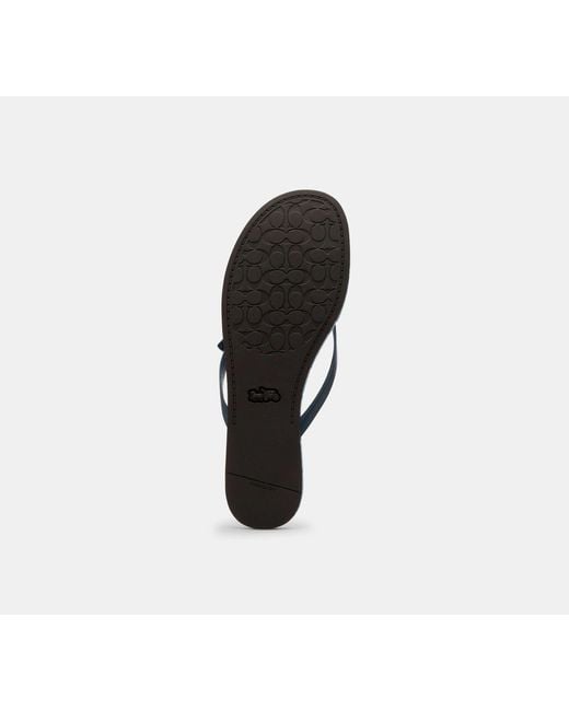 COACH Black Bow Flip Flop