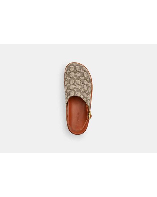 COACH Brown Mules