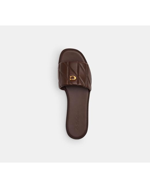 COACH Black Holly Sandal With Quilting