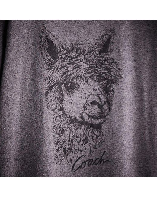 COACH Purple Restored Alpaca Graphic T Shirt