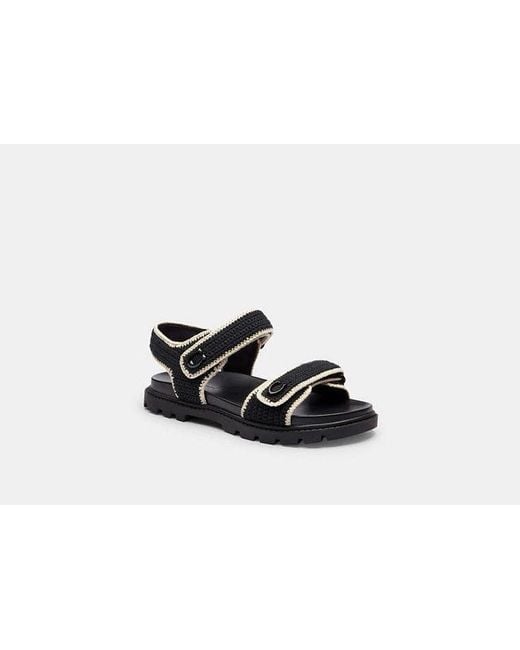 COACH Black Flat Sandals