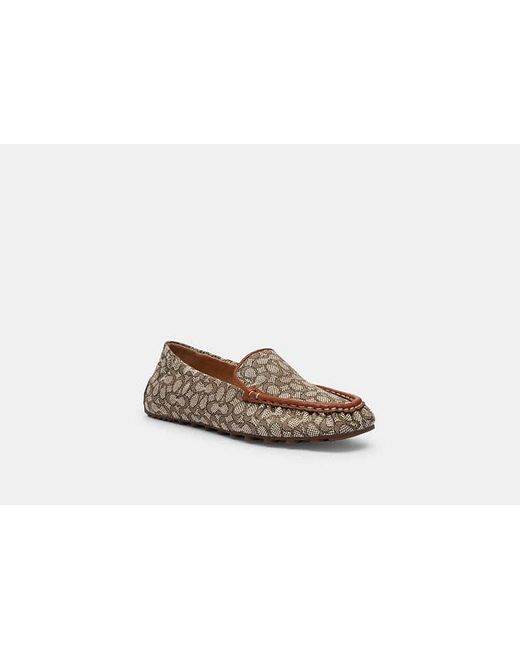 COACH Black Ronnie Loafer - Brown, Size 10 | Signature Jacquard