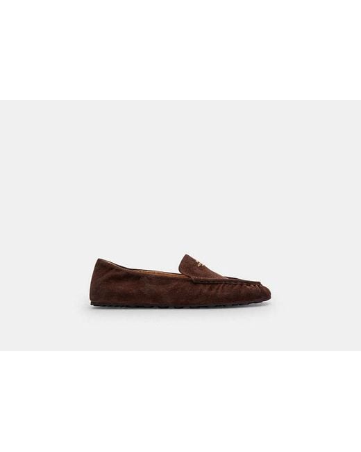 COACH Brown Phoebe Soft Loafer