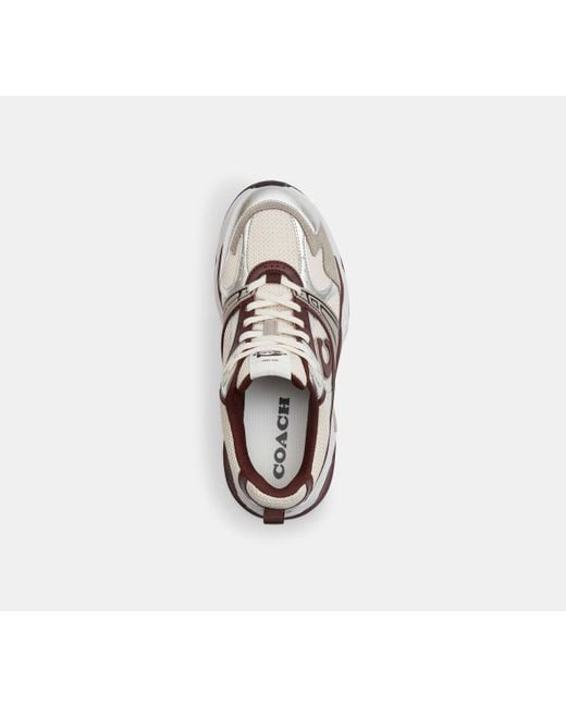 Scarpa Da Ginnastica di COACH in Black