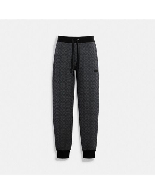 COACH Cotton Essential joggers In Signature in Grey for Men Lyst Canada