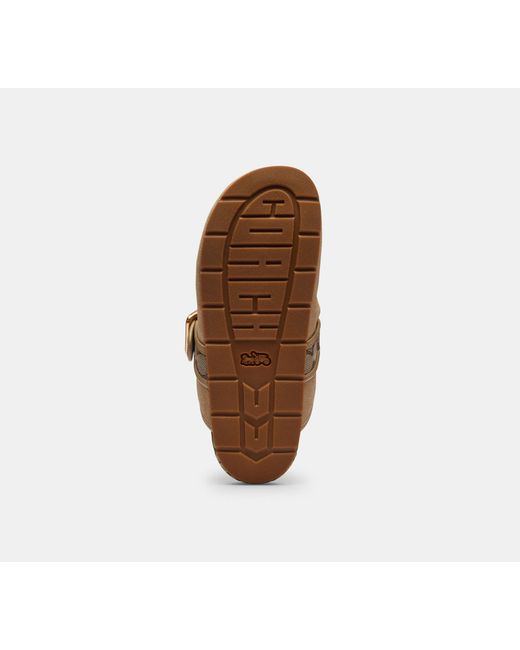COACH Black Archival Buckle Clog