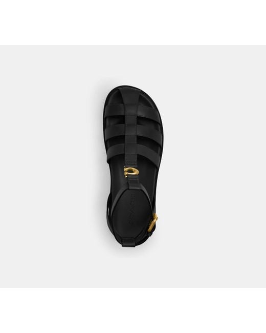 COACH Black Sculpted C Fisherman Sandal