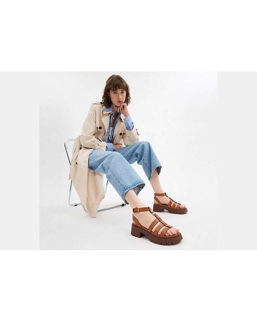 COACH Black Sculpted C Platform Fisherman Sandal
