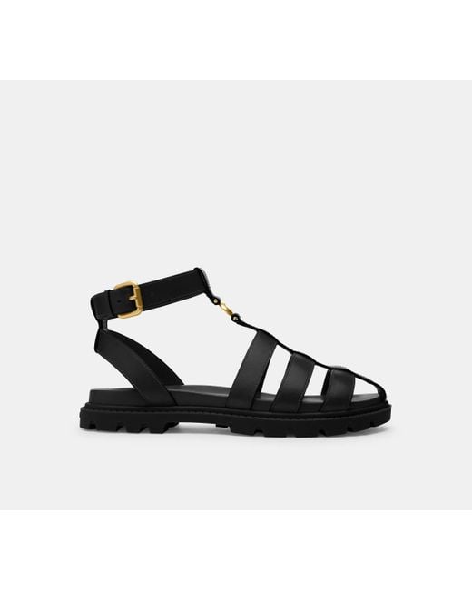 COACH Black Sculpted C Fisherman Sandal