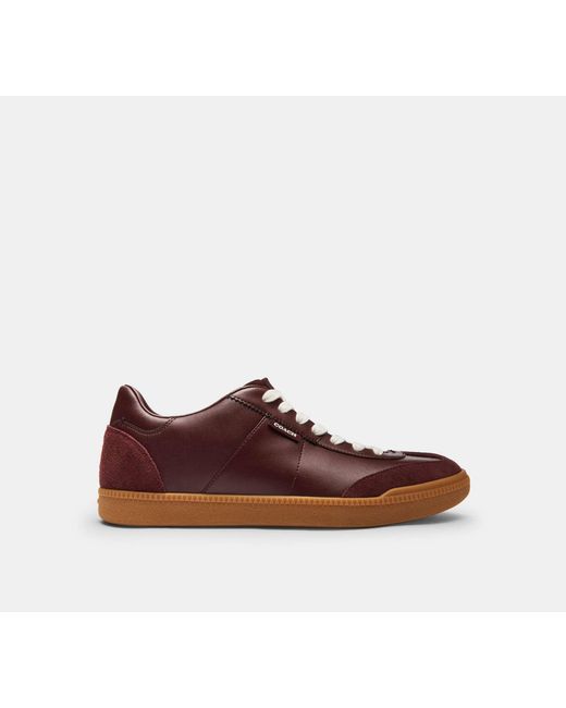 COACH Red Brady Sneaker