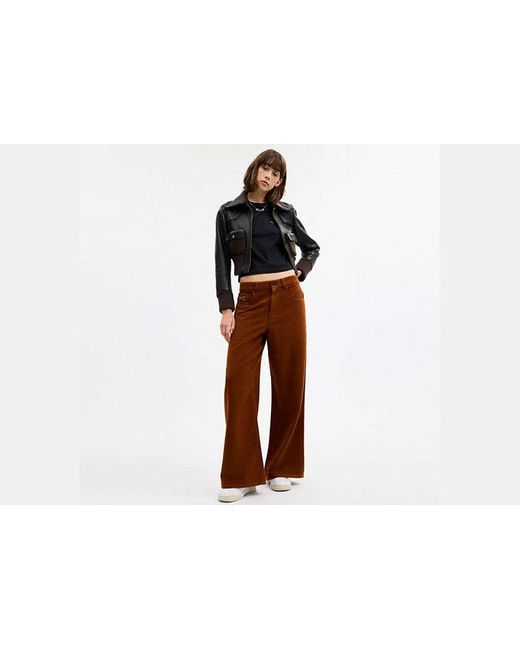 Pantalones De Molesquín COACH de color Black
