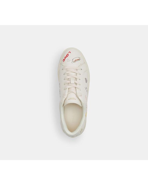 COACH Black High Line Sneaker With Sketch Print