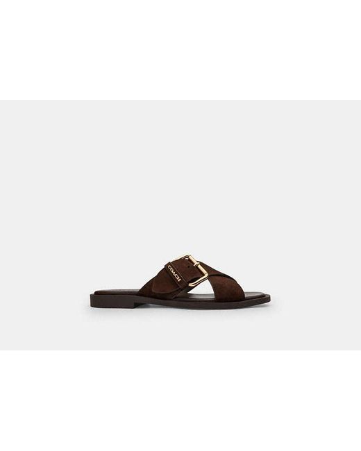 COACH Black Crisscross Buckle Sandal