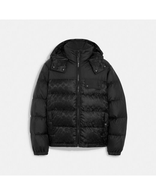 Coach black hotsell jacket