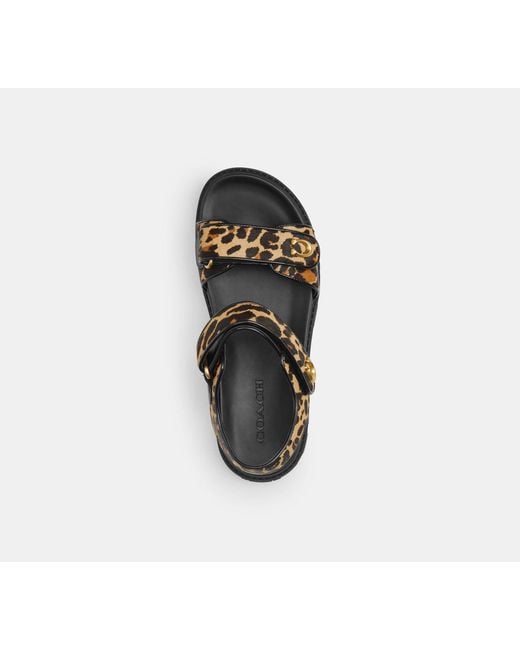 COACH Black Brynn Sandal Print Flat